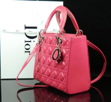 DIOR¿ʽб 