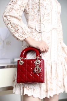 2020LADY DIOR񾭵Զô˵ģ