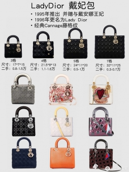 жӵDior 2020BOOK TOTE޹