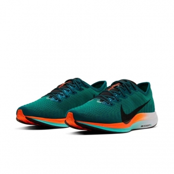 Ь**Nike zoom Pegasus Tur